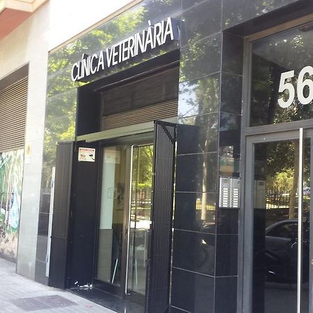 Bbarcelona Apartments Ciutadella Flat Zewnętrze zdjęcie